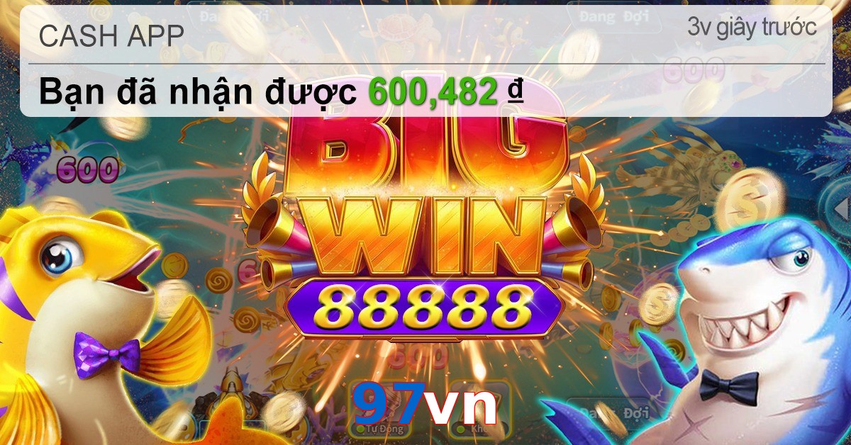 97vn